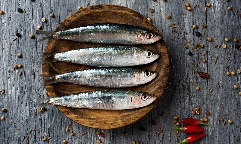 sardinas mercurio