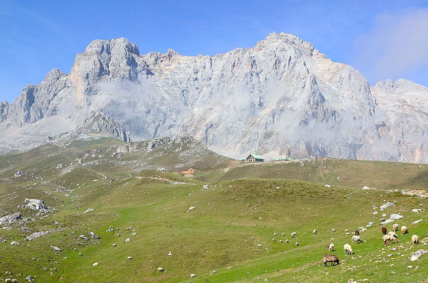 PICOS-DE-EUROPA-aliva