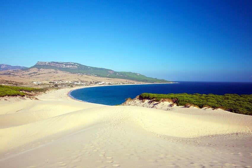 Bolonia Cadiz