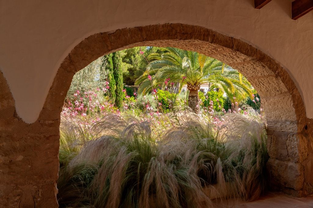 Gramíneas en el jardín en Jávea (Alicante) de Jan Jacob van Eijle 