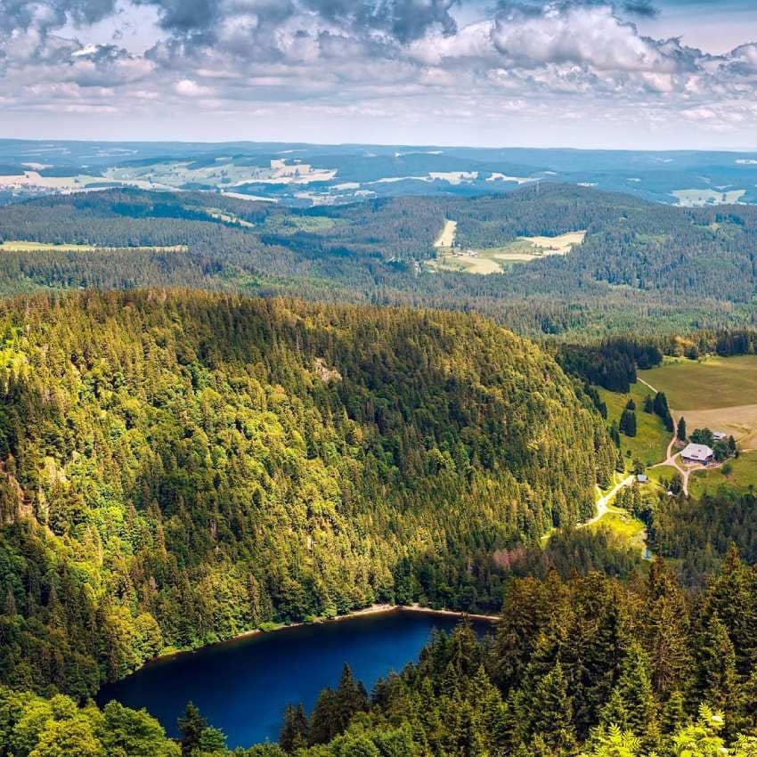 lago de monta a feldsee en la selva negra alemana