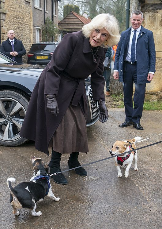 Reina Camilla con sus dos perros