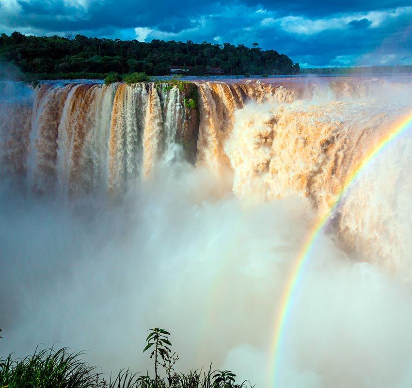 iguazu egcmbp