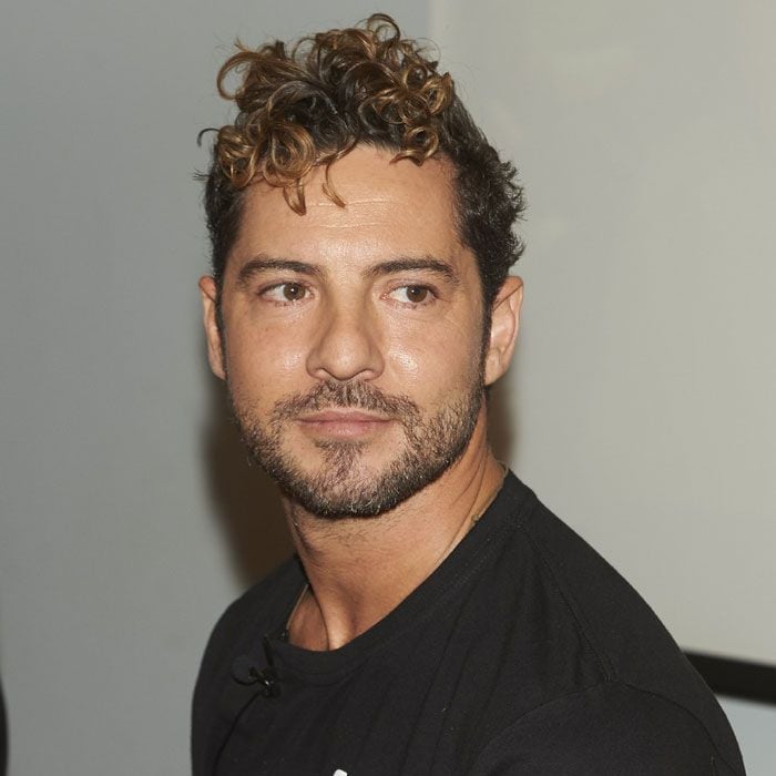 david-bisbal-gtres