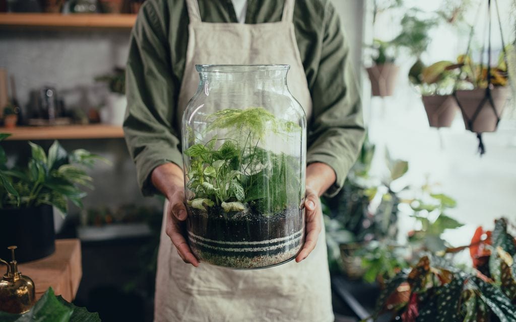 Hombre sosteniendo un terrario