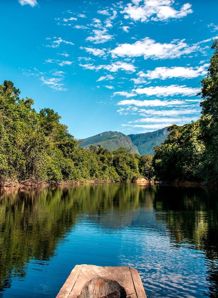 desaparecen amazonas 1a