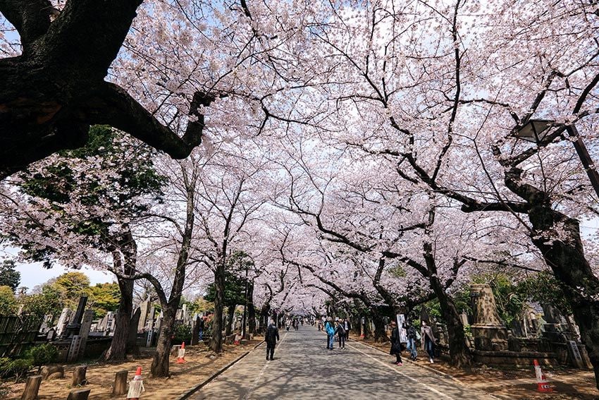 tokio-Yanaka