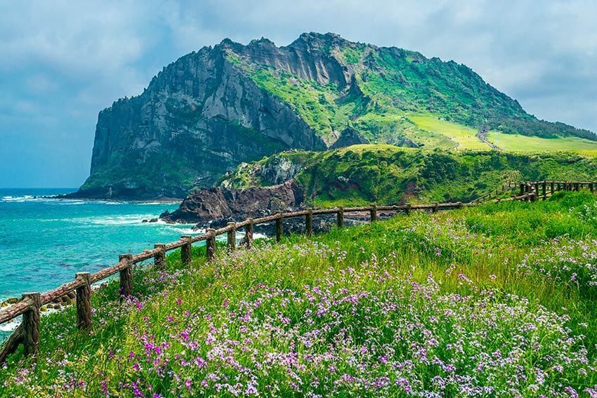 sla-de-jeju-corea-del-sur