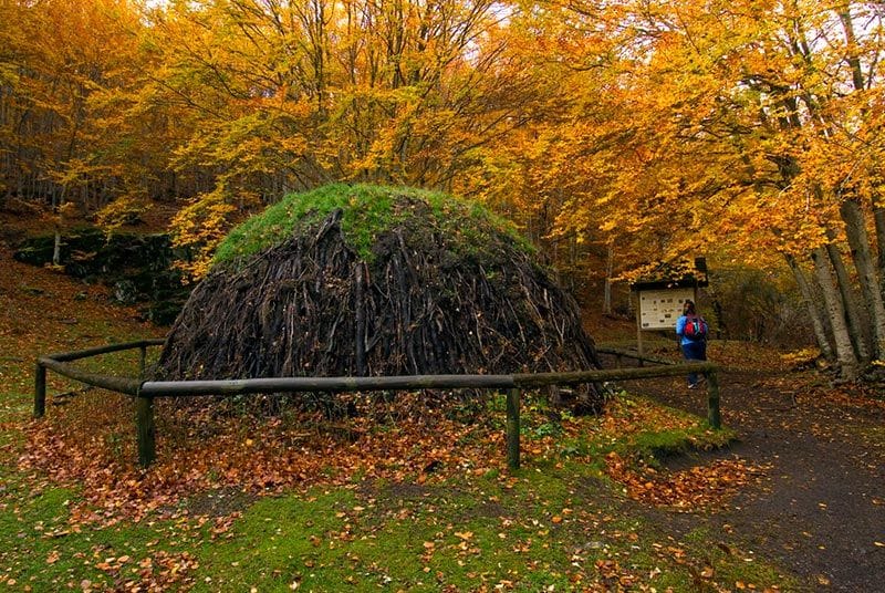 parque natural del hayedo de tejera negra guadalajara otono