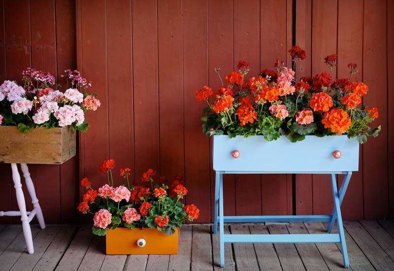 plantas balcones 4a