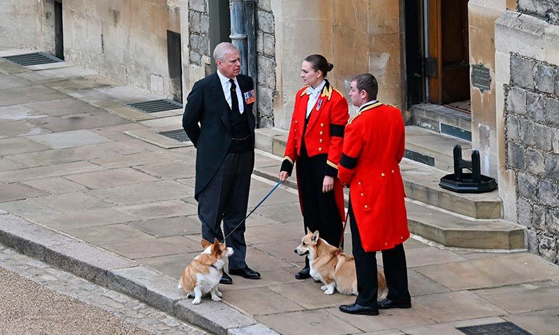 corgis getty1