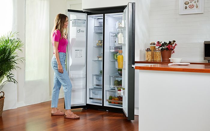 lgfrigo6