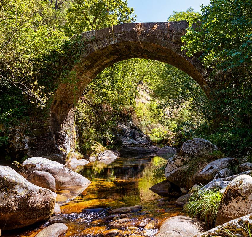 puente gettyimages 1472151927