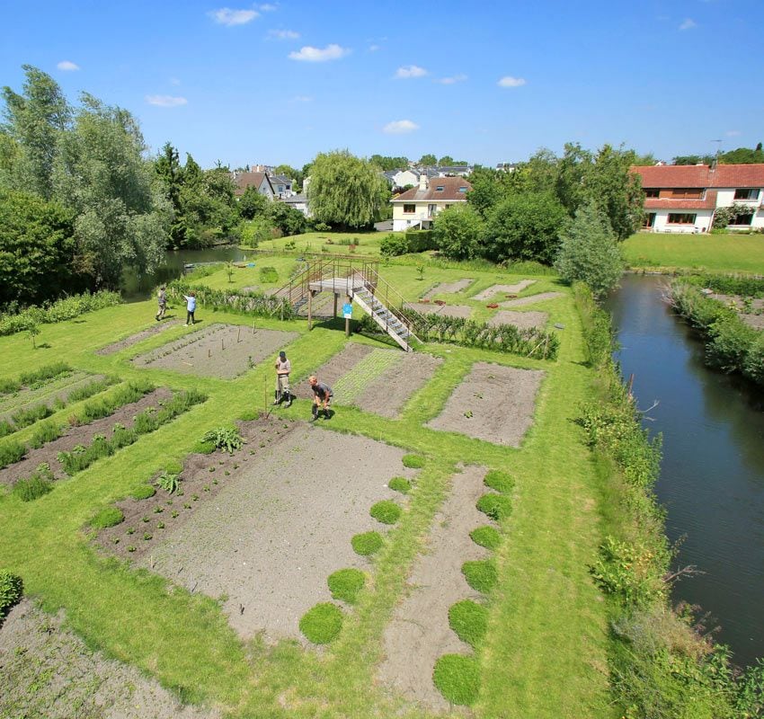 Cultivos hortícolas en los Hortillonnages de Amiens