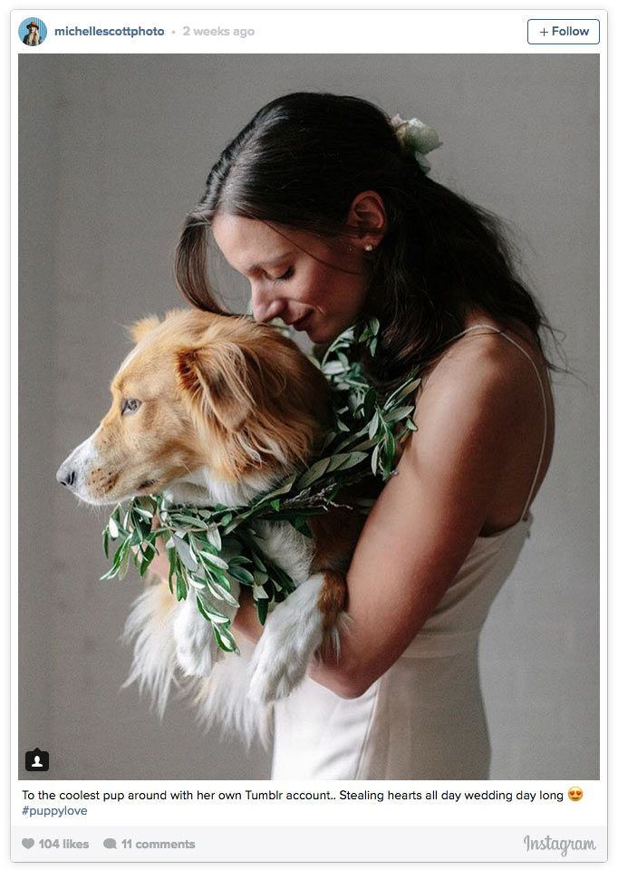 novias pets 06