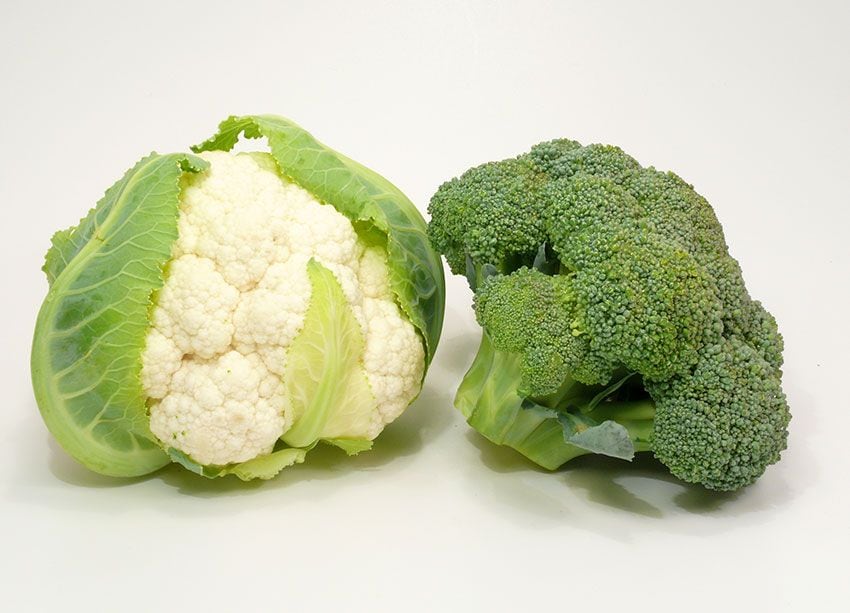 brocoli