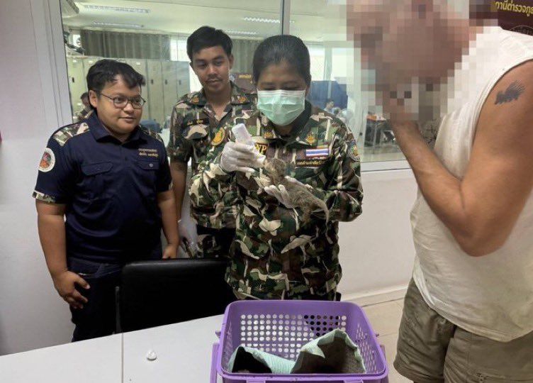 Frank Cuesta, detenido en Tailandia por posesión ilegal de animales protegidos