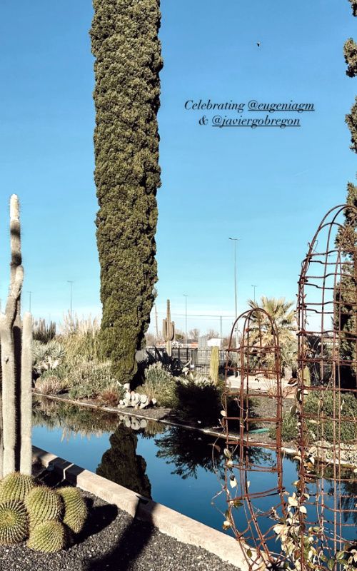 Restaurante de la pedida 