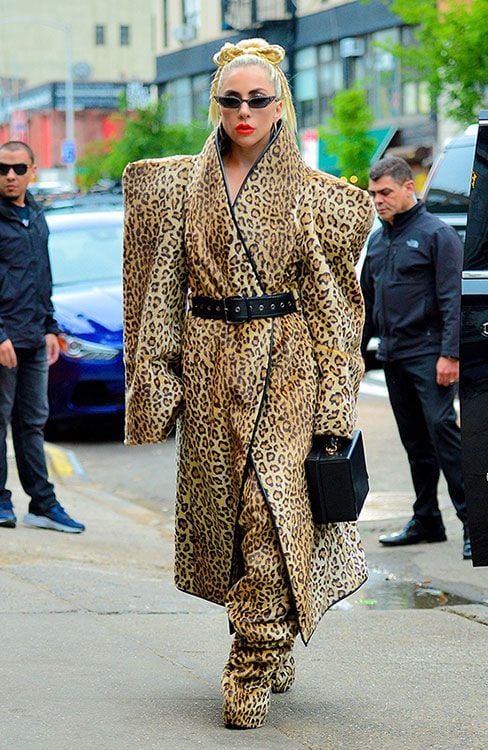 lady gaga leopardo