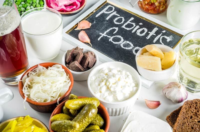 alimentos probioticos