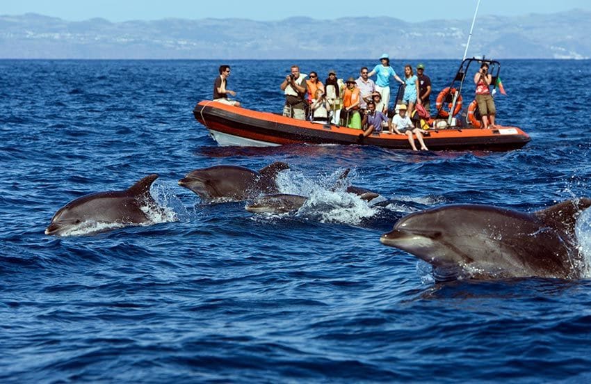 faial gettyimages 521751872