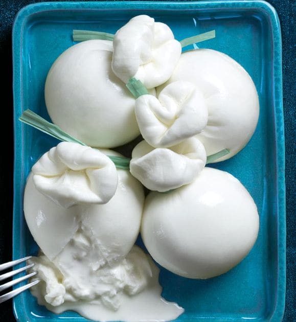 burrata