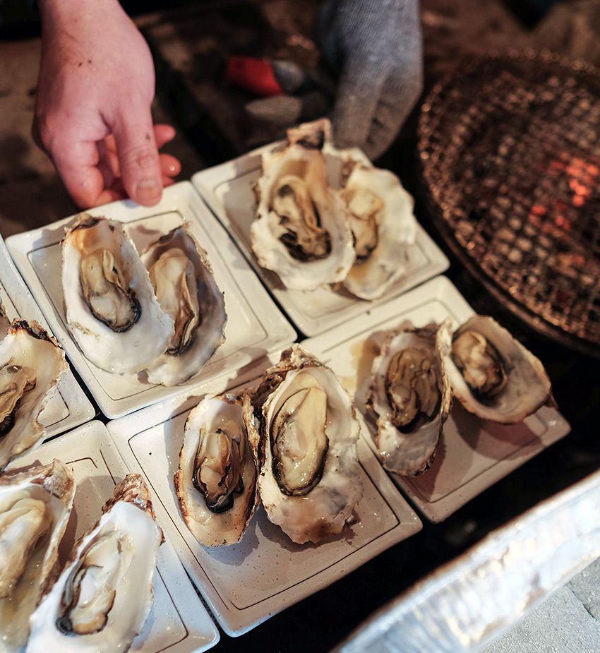 Ostras en la bahía de Matsushima