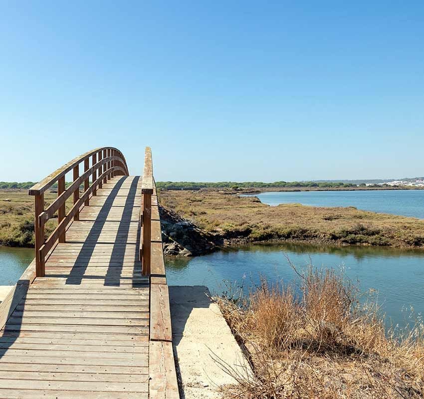 Marismas del Río Piedra y La Flecha de El Rompido, Huelva