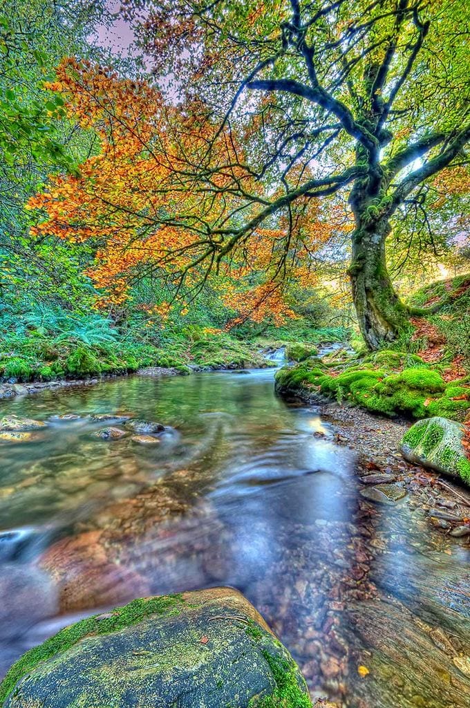 muniellos asturias