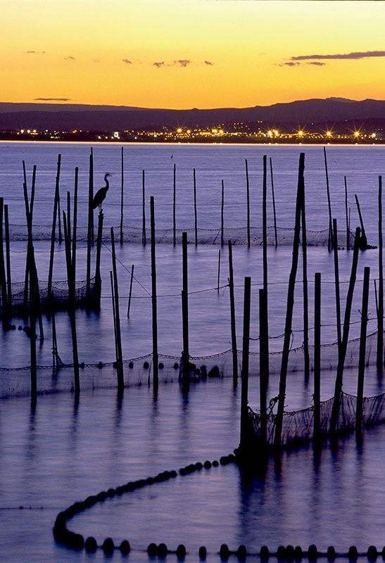 Valencia-Albufera