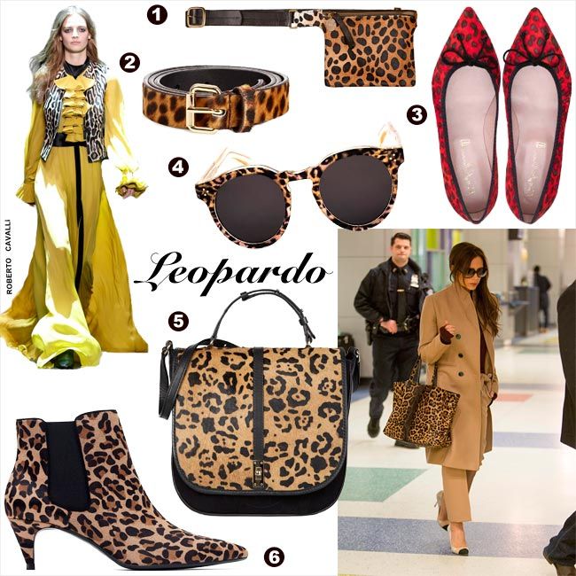 Accesorios leopardo