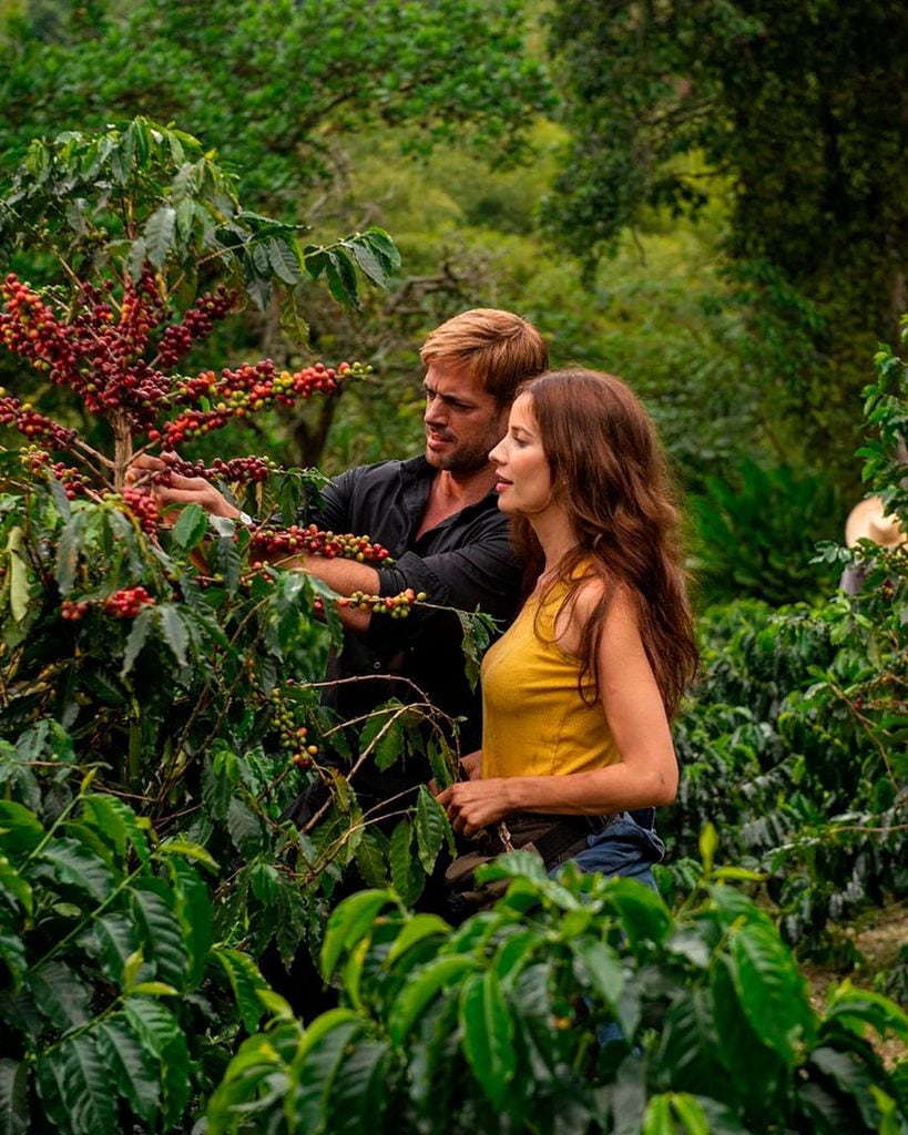 Entrevista a Laura Londoño, cafetales, Colombia