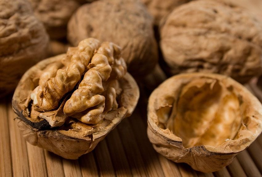 nueces