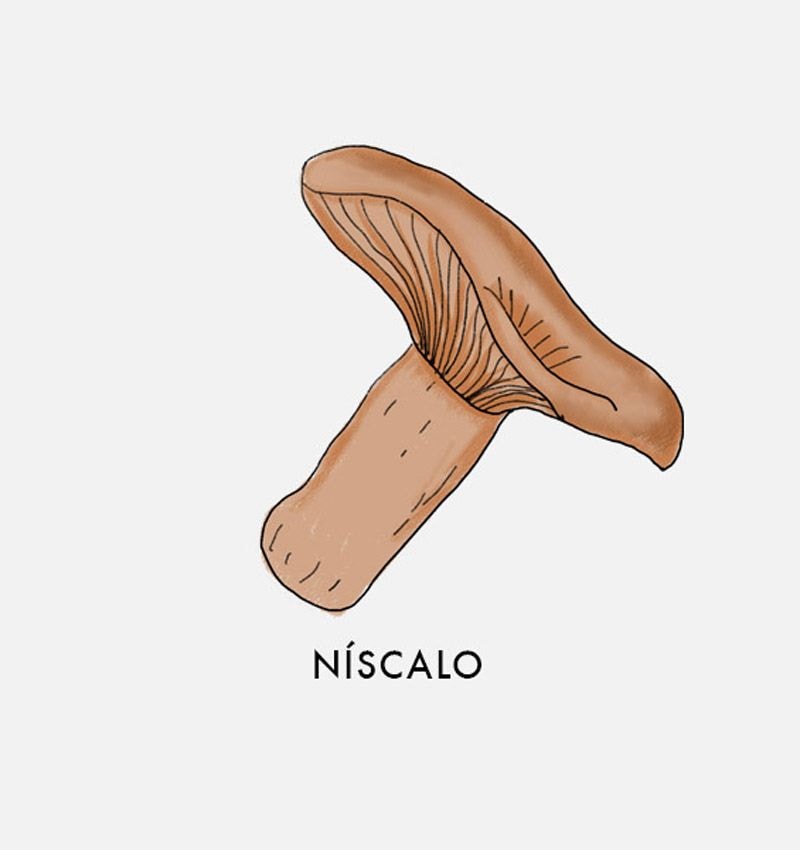 niscalo