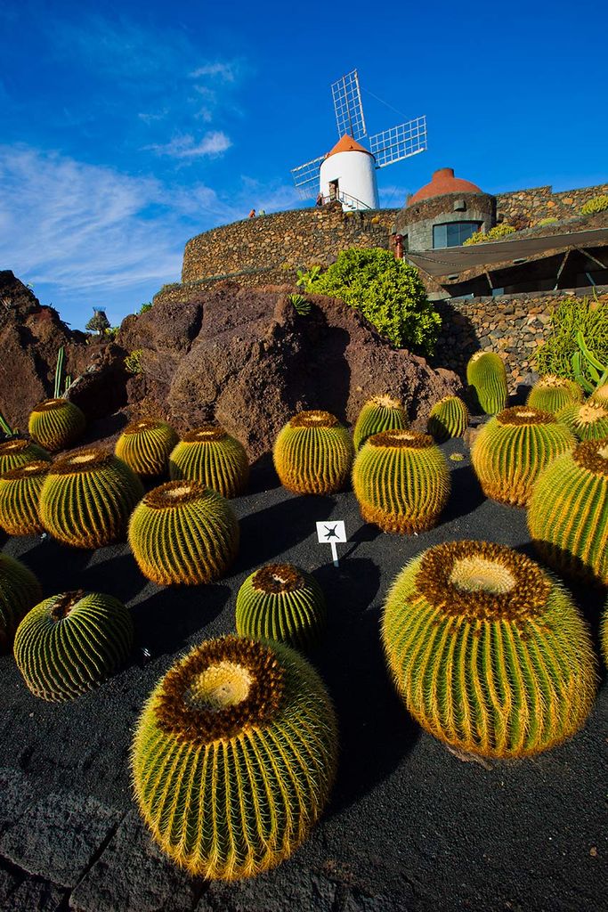 lanzarote