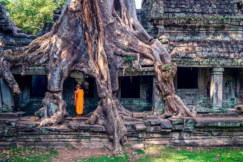 angkor templos raices