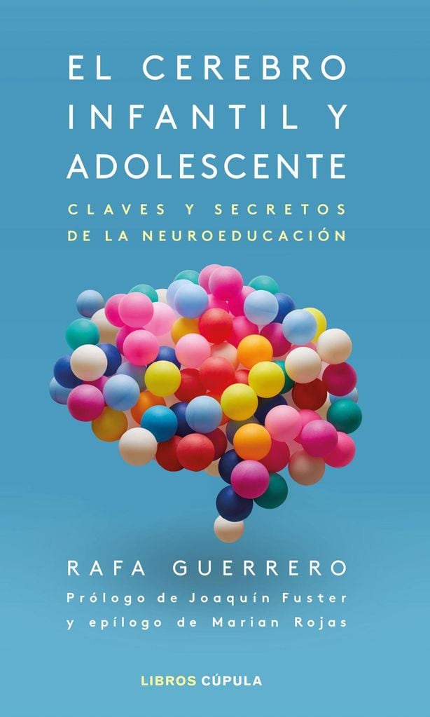 el cerebro infantil y adolescente de rafa guerrero ed c pula 