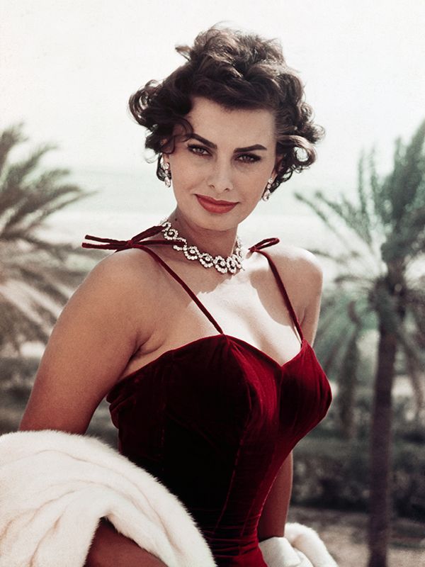 sophialoren ferragamo