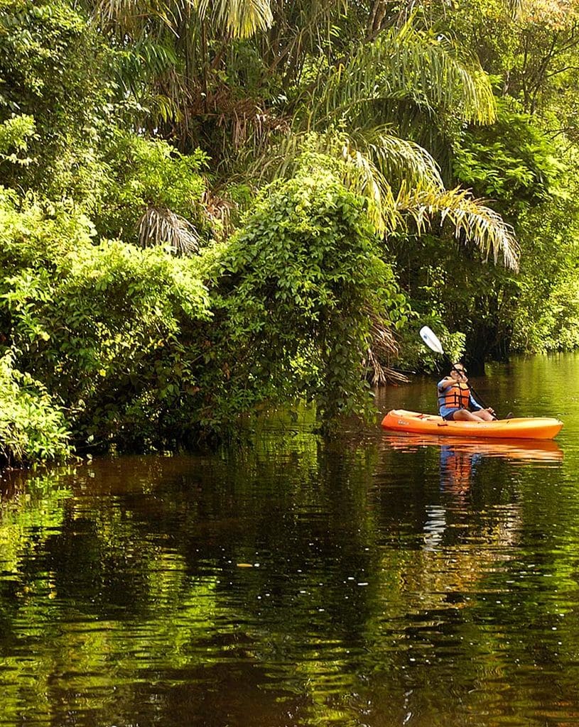 tortuguero 7a