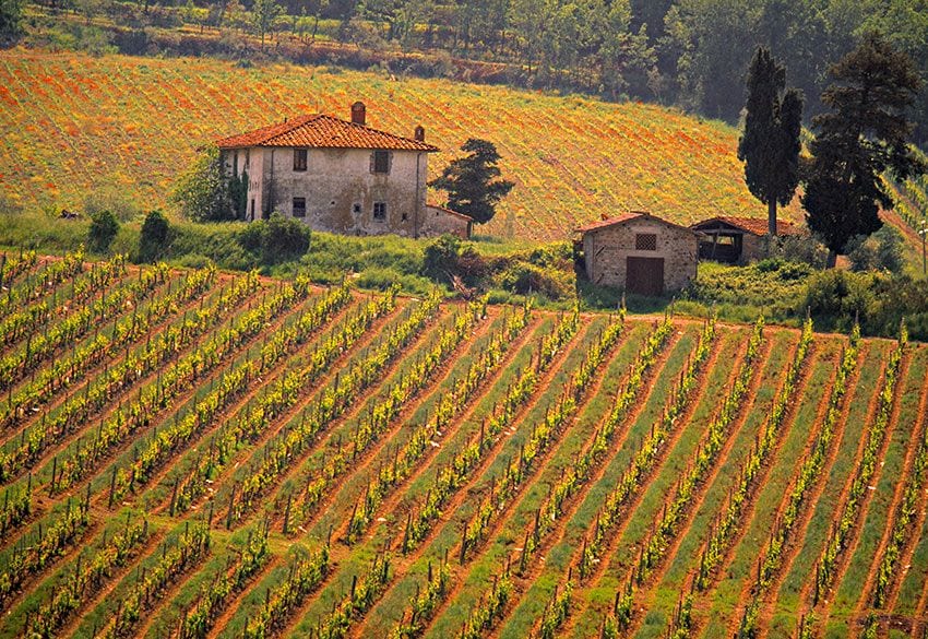 toscana-chianti-vides