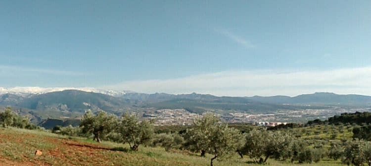 running-granada