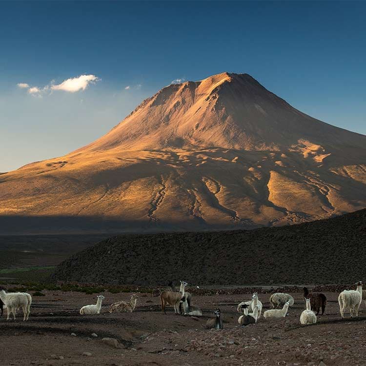 Chulluncane-chile