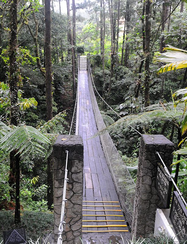 sancarlos costa rica