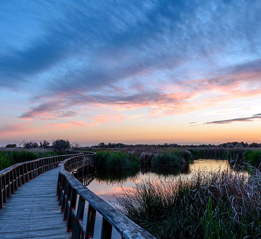 tablas de daimiel