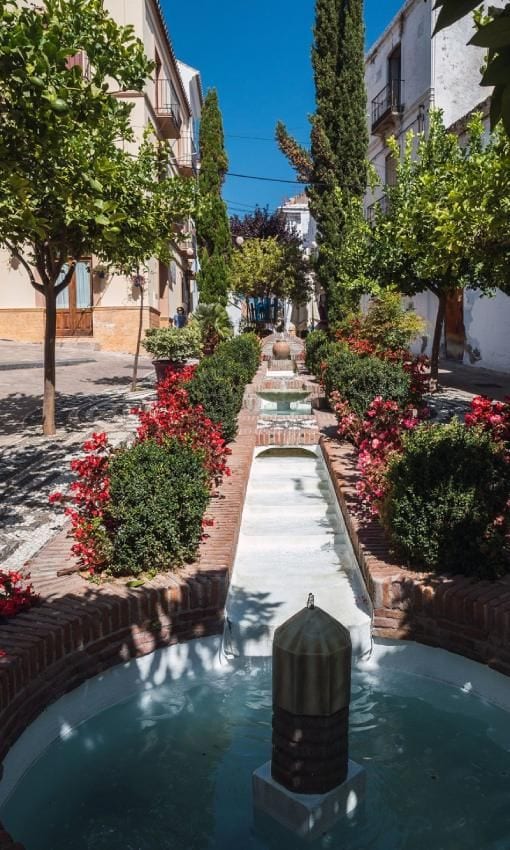 Fuentes, macetas floridas y plantas en las calles de Estepona.