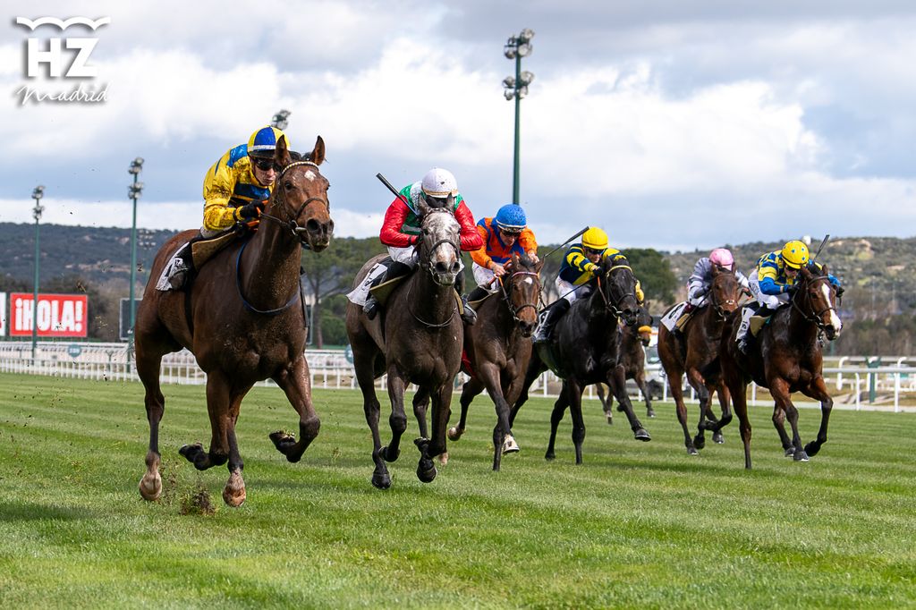 Hipódromo de la Zarzuela 