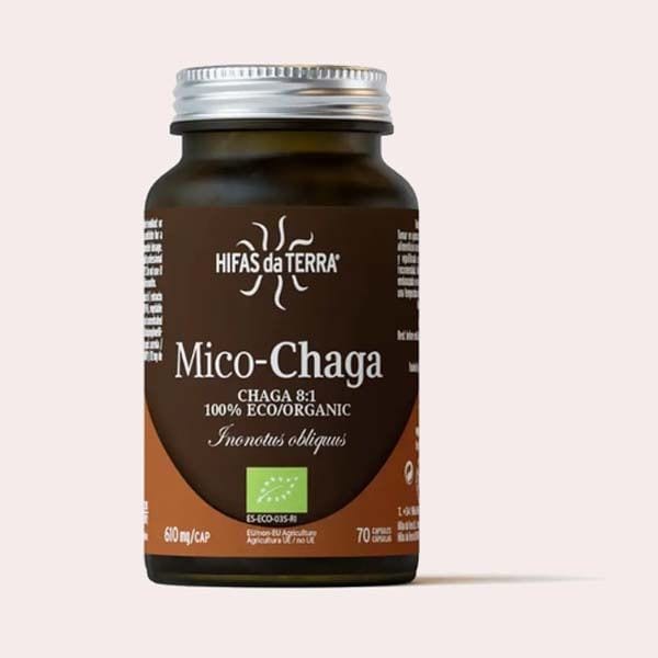 Mico-chaga Extracto Puro Eco de Chaga de Hifas de Terra