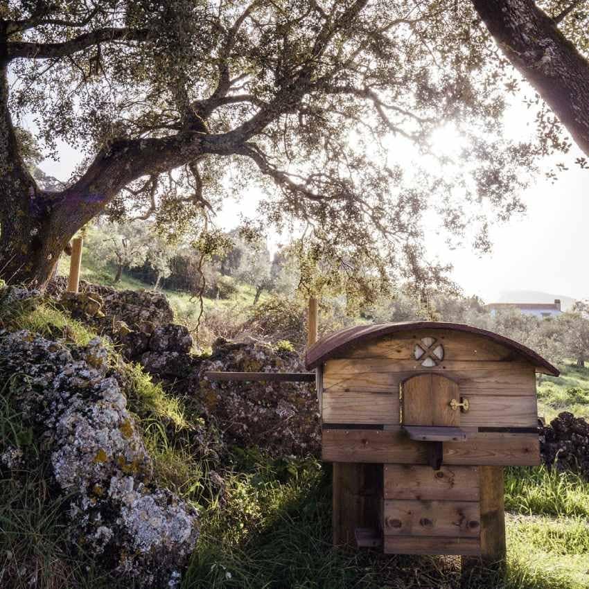 Cama de abejas en La Donaira, un eco-alojamiento de lujo en la serranía de Ronda, Málaga