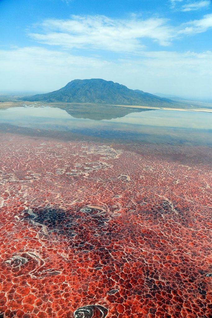 lago natron 5a