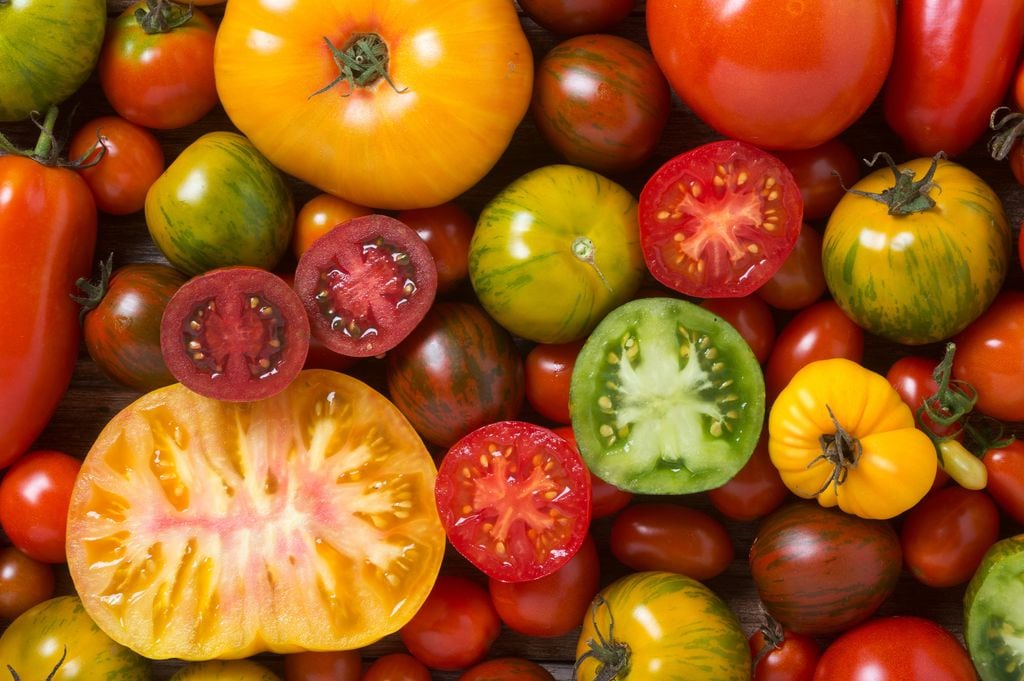 Distintas variedades de tomates